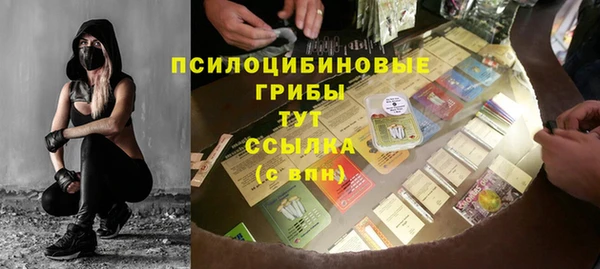 первитин Новозыбков