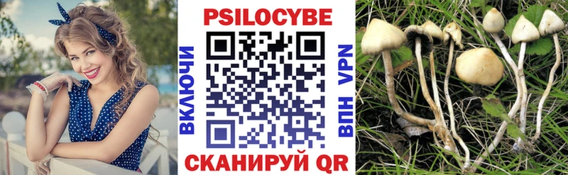 Псилоцибиновые грибы MAGIC MUSHROOMS ОМГ ОМГ маркетплейс Рудня